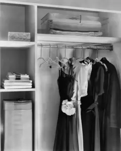 The Architecture of Order: Why the Humble Hanger is the Ultimate Closet Design Statement