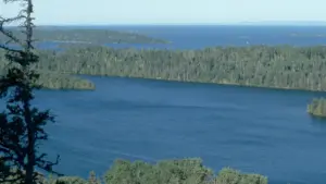 Miraculous Rescue in Michigan’s Wilderness: How Two Kayakers Saved a Lost Hiker After 11 Days in Isle Royale National Park