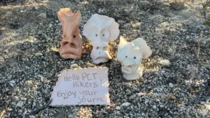 The Great Trail Art Debate: Inside Warren Sherich Jr.’s Global "Dogu Invasion" and the Ethics of Leave No Trace