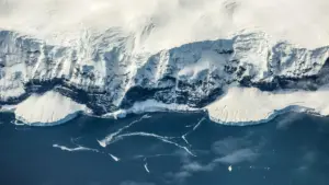 Unlocking the Antarctic Ice Mystery: How Deep Earth Tectonic Forces Preconditioned a Continent for Glaciation Millions of Years Before the Arctic